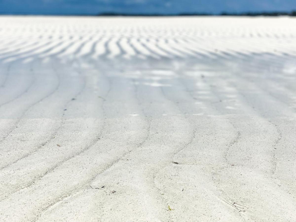 キウェンワOcean View Luxury Penthouse Nne Zanzibarhousesアパートメント エクステリア 写真